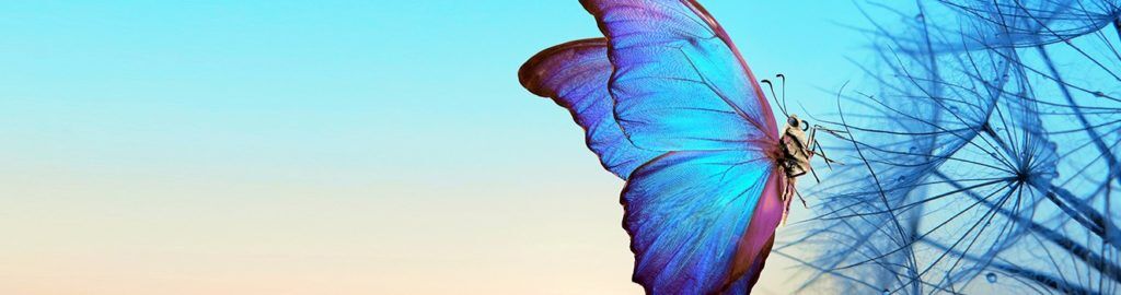SYM182_1200x350_web HDR