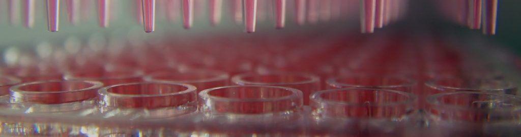 SYM133_1200x350_web HDR bioassay