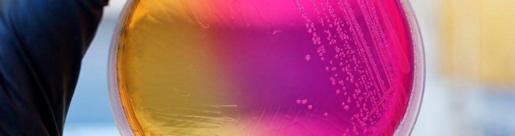 SYM179_1200x350_web HDR Contamination Control Strategy online training