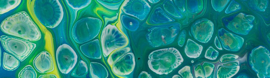 WEB_SYM246_hdr_1200x350_OLD